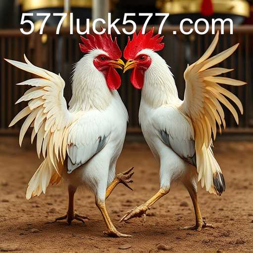 O Fascinante Mundo dos Jogos de Sabong